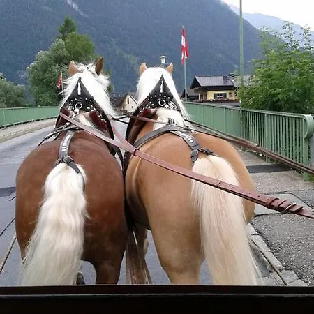 Bergblick Apartamento *