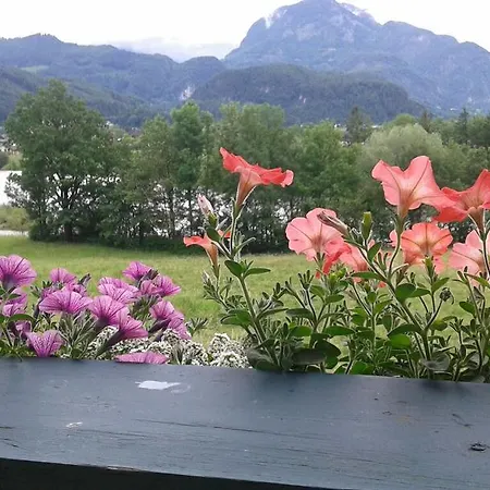 Bergblick Apartment *